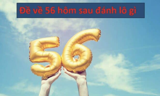 Đề về 56 hôm sau đánh con gì dựa theo tổng đề